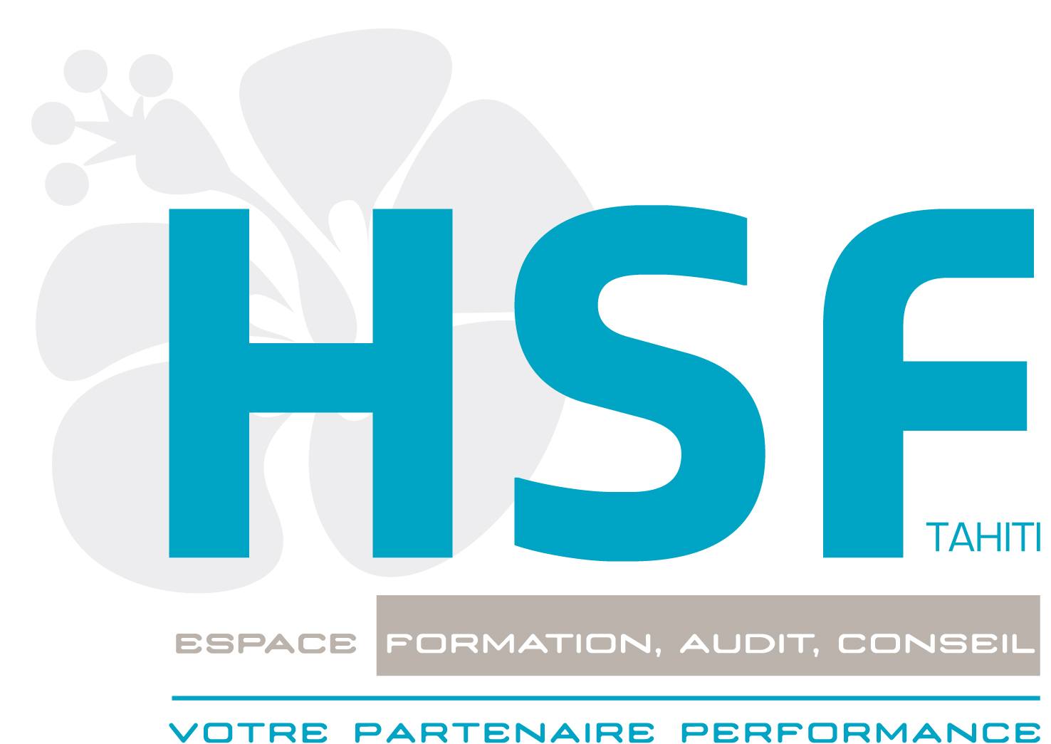 HSF ESPACE FORMATION