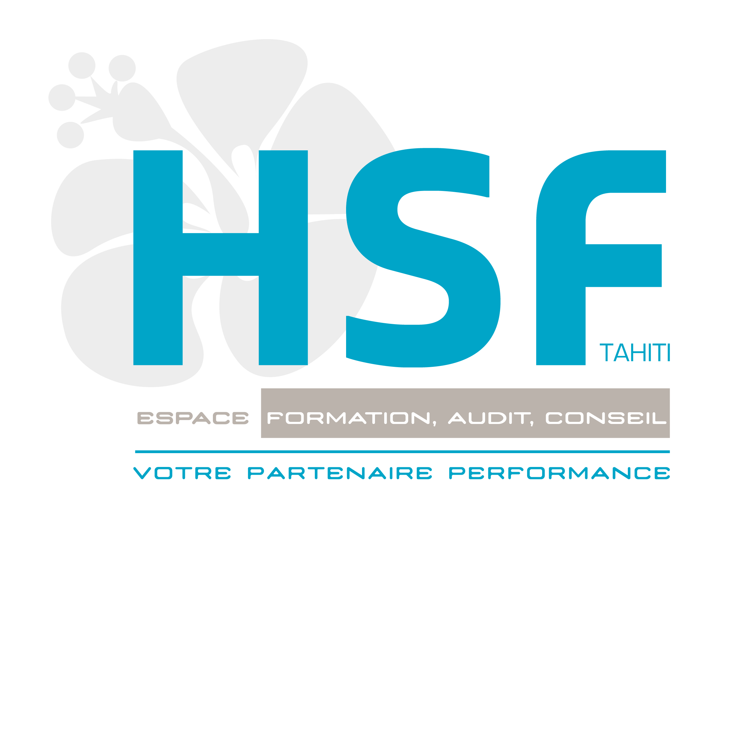 HSF ESPACE FORMATION
